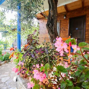Holiwood Motel Himare